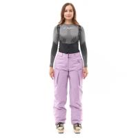 Dragonfly Штаны горнолыжные утепленные Gravity 2025 Woman Purple в Ставрополе
